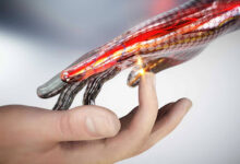 First-of-a-kind electronic skin mimics human pain response