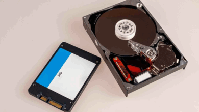 Which One Lasts Longer in 2026?