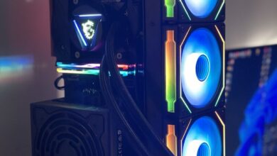 Thank You – SFF.Network | SFF.Network