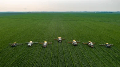 Uses Of Robots In Different Industries