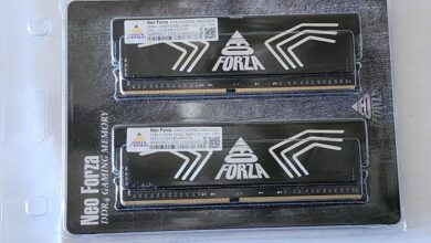Neo Forza Faye DDR4-3600 2X32GB