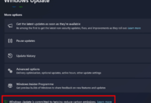 The Lunacy Of Windows 11 CPU Restrictions