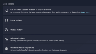 The Lunacy Of Windows 11 CPU Restrictions